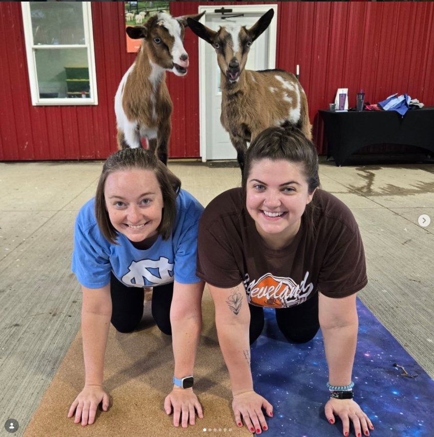 Goat Yoga