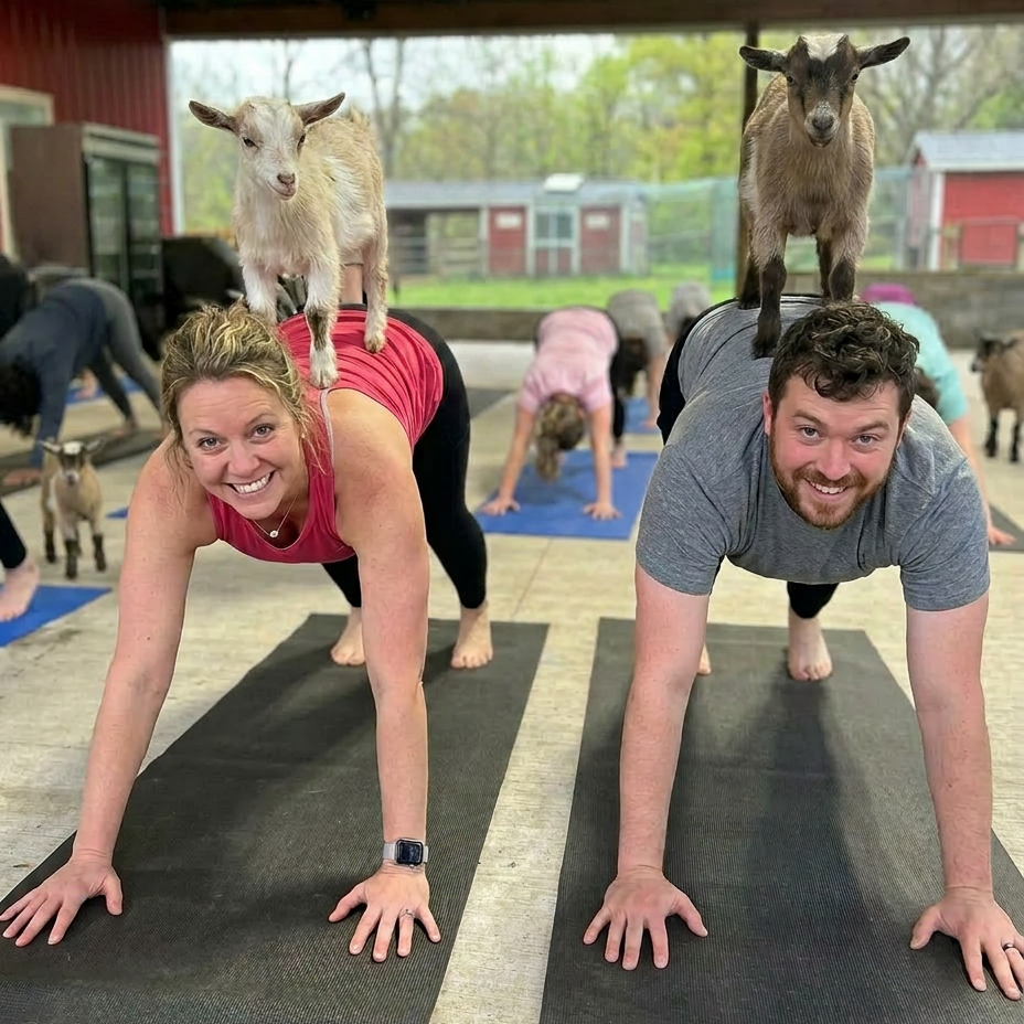 Goat Yoga Pure Passions Farm