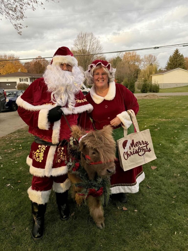 Christmas On The Farm