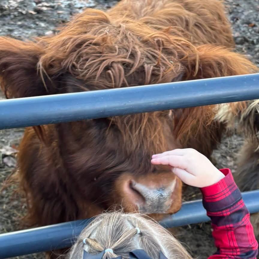 Private Tours at the Farm