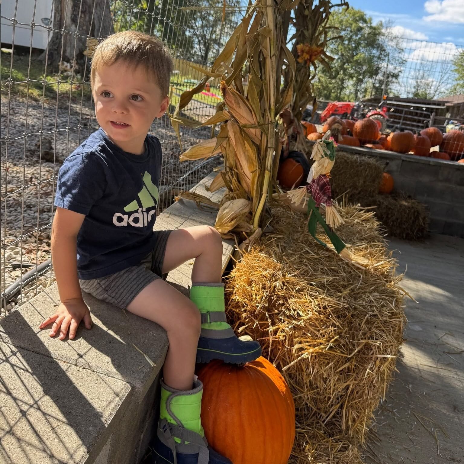 Fall Fest