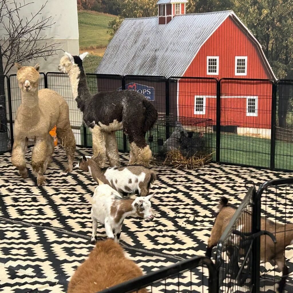 Mobile Petting Zoo